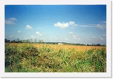 Scansione0002 * 1752 x 1176 * (504KB)