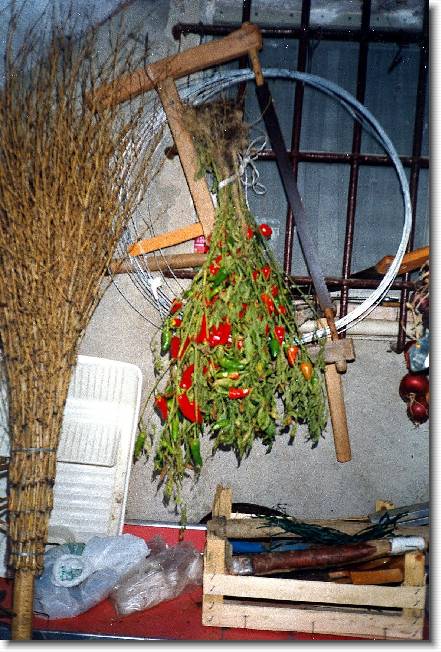 Clicca per scorrere le foto originali ingrandite