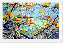 Scansione0042 * 1738 x 1147 * (620KB)