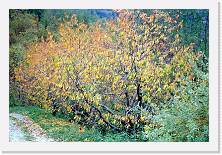 Scansione0043 * 1717 x 1150 * (856KB)