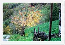 Scansione0049 * 1726 x 1147 * (803KB)
