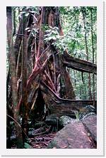 aus073 * 1192 x 1848 * (331KB)