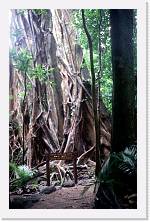 aus077 * 1192 x 1848 * (301KB)