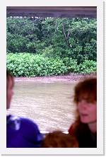 aus081 * 1192 x 1848 * (317KB)