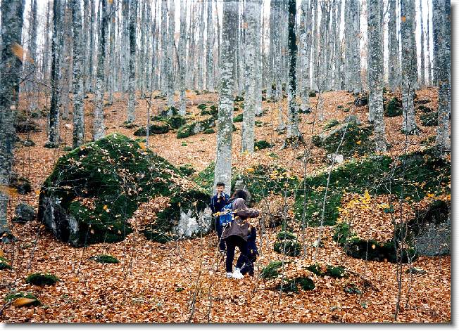 Clicca per scorrere le foto originali ingrandite