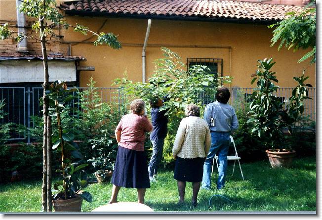 Clicca per scorrere le foto originali ingrandite