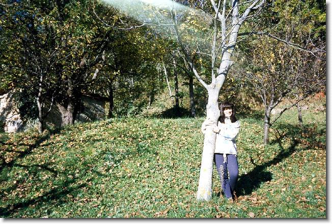 Clicca per scorrere le foto originali ingrandite