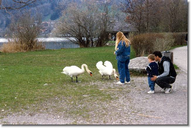 Clicca per scorrere le foto originali ingrandite