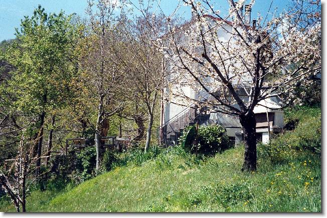 Clicca per scorrere le foto originali ingrandite
