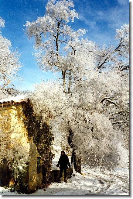 Clicca per scorrere le foto originali ingrandite