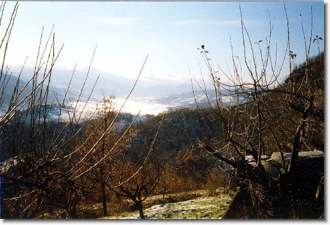 Clicca per scorrere le foto originali ingrandite