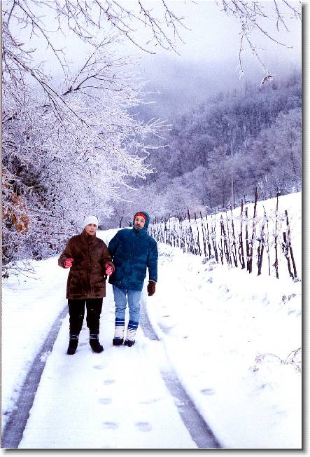 Clicca per scorrere le foto originali ingrandite