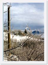 Scansione0021 * 1212 x 1712 * (455KB)