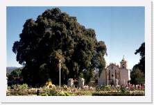 mex061 * 1848 x 1199 * (364KB)