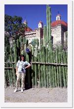 mex063 * 1192 x 1848 * (487KB)