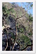 mex072 * 1192 x 1848 * (482KB)