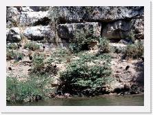 mex073 * 1549 x 1117 * (435KB)