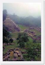 mex099 * 1199 x 1840 * (330KB)