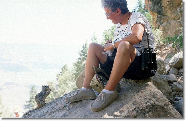 Clicca per scorrere le foto originali ingrandite