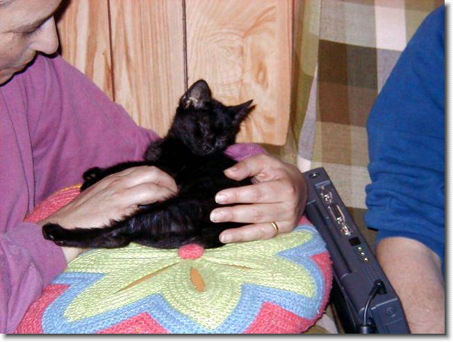 Clicca per scorrere le foto originali ingrandite