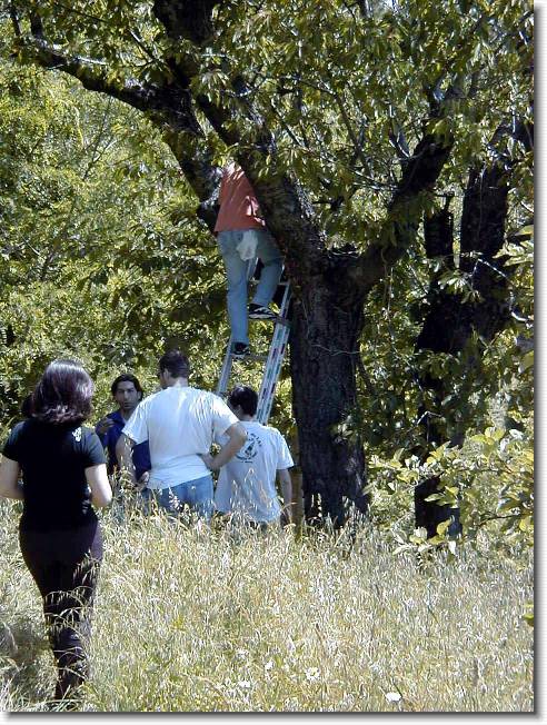 Clicca per scorrere le foto originali ingrandite