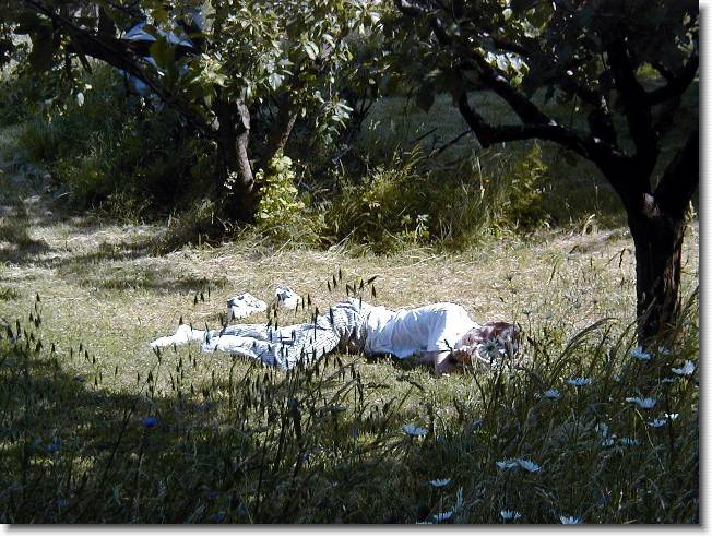 Clicca per scorrere le foto originali ingrandite
