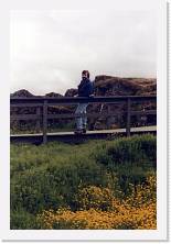 1999_Islanda_0001_a * 1166 x 1749 * (344KB)