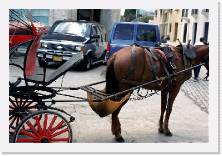 cuba015 * 1786 x 1199 * (314KB)