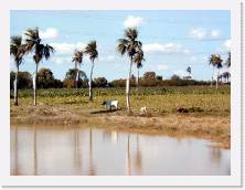 cuba041h * 640 x 480 * (54KB)