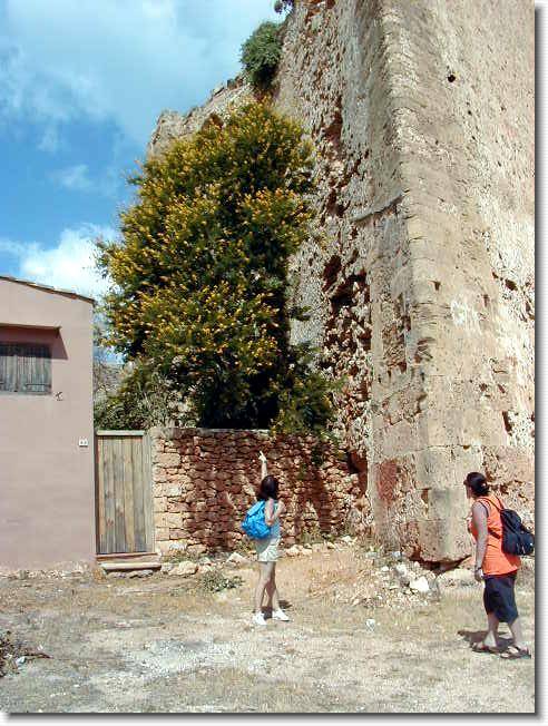 Clicca per scorrere le foto originali ingrandite