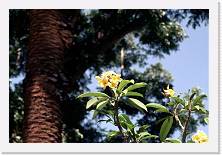 sic069 * 1786 x 1199 * (268KB)