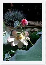 sic073 * 1192 x 1786 * (205KB)