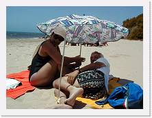 sic133d * 640 x 480 * (55KB)
