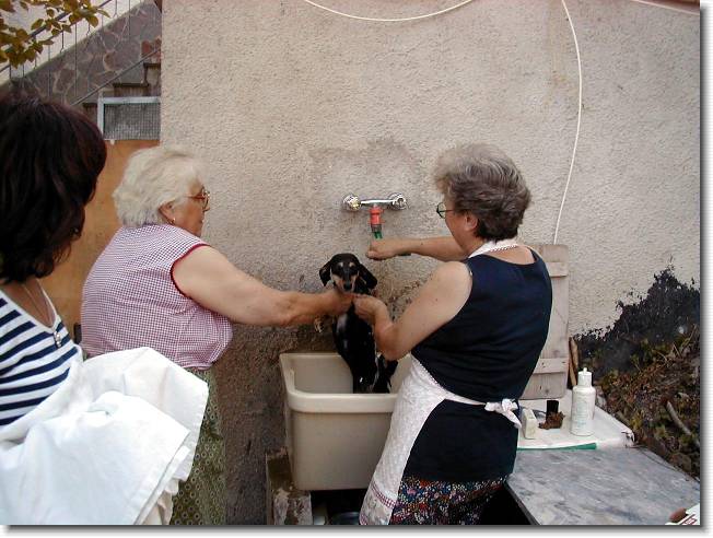 Clicca per scorrere le foto originali ingrandite