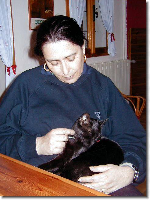 Clicca per scorrere le foto originali ingrandite