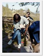 P1010029 * 480 x 640 * (63KB)
