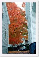 usa073 * 1192 x 1786 * (342KB)