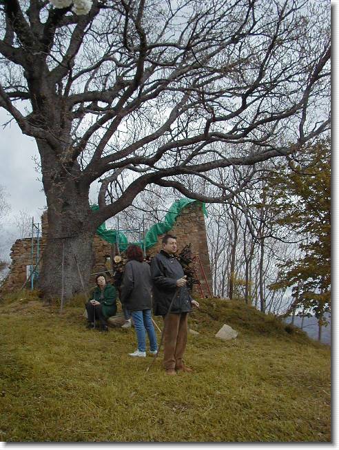 Clicca per scorrere le foto originali ingrandite