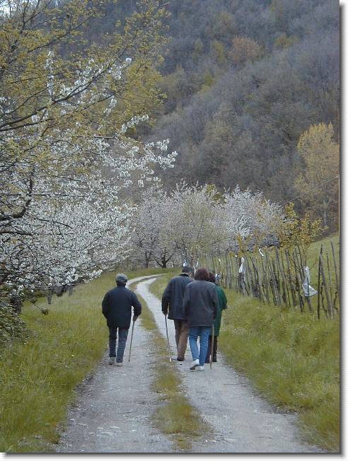 Clicca per scorrere le foto originali ingrandite