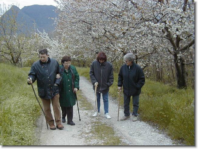 Clicca per scorrere le foto originali ingrandite