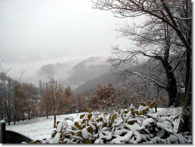 Clicca per scorrere le foto originali ingrandite