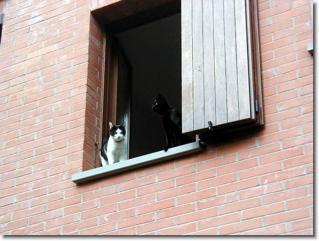 Clicca per scorrere le foto originali ingrandite