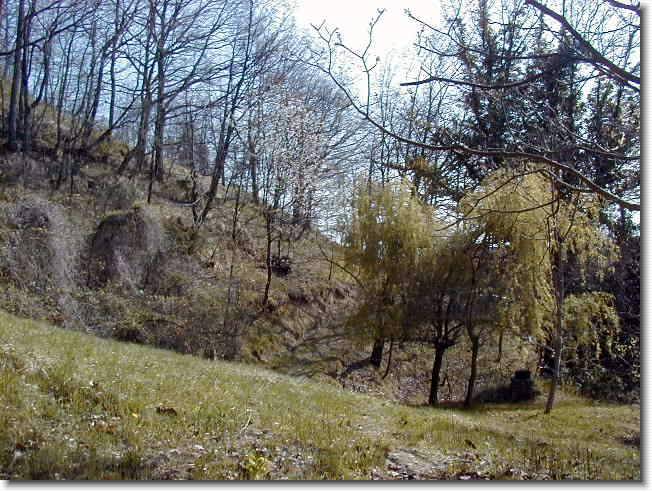 Clicca per scorrere le foto originali ingrandite