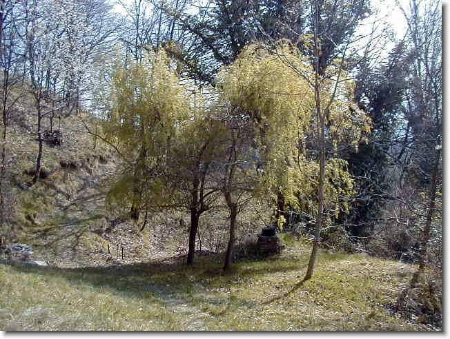 Clicca per scorrere le foto originali ingrandite
