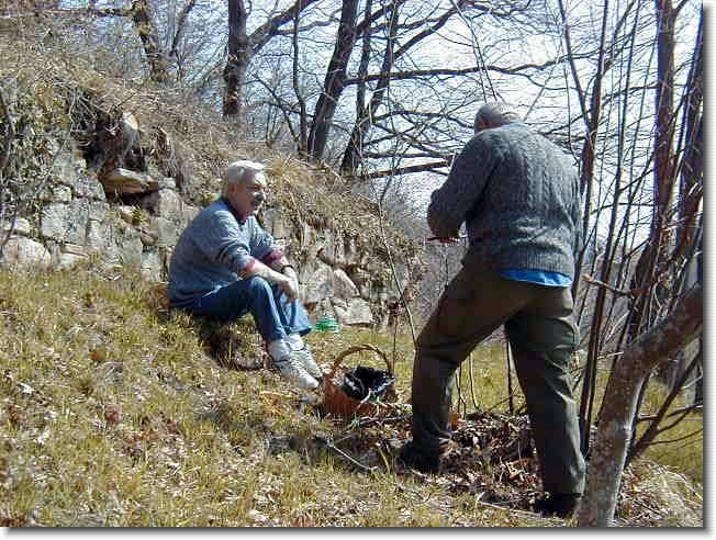 Clicca per scorrere le foto originali ingrandite