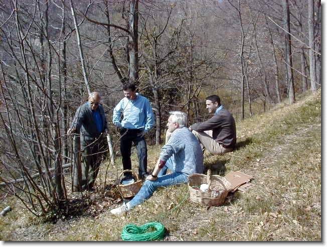 Clicca per scorrere le foto originali ingrandite