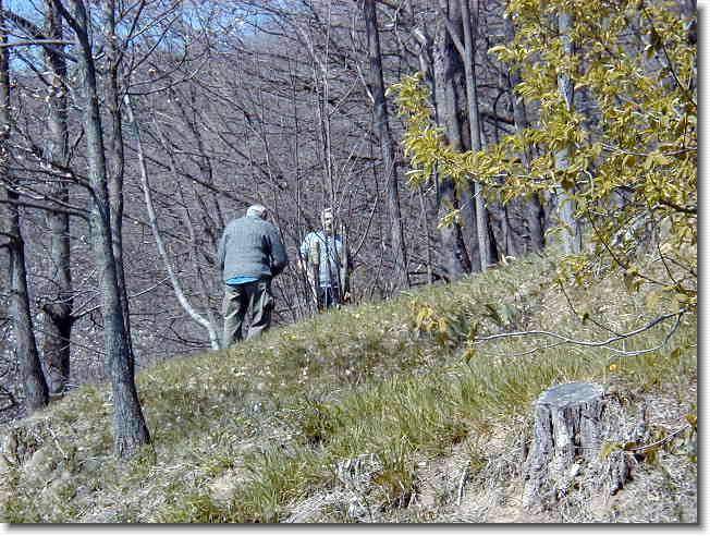 Clicca per scorrere le foto originali ingrandite