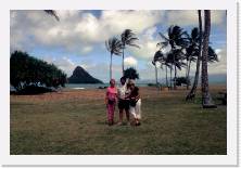 haw045 * 1786 x 1199 * (802KB)