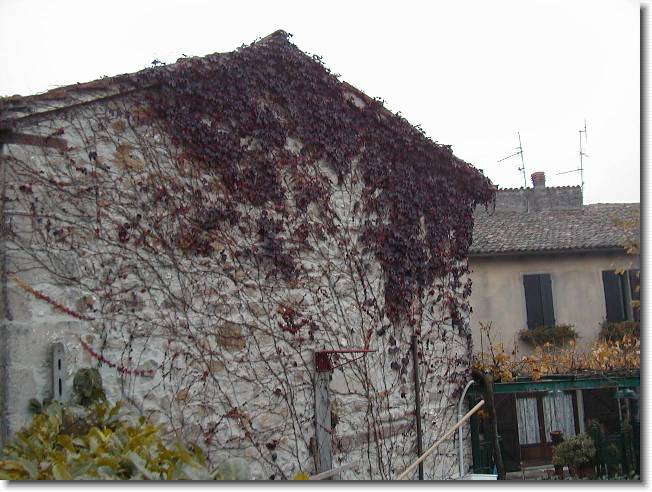 Clicca per scorrere le foto originali ingrandite