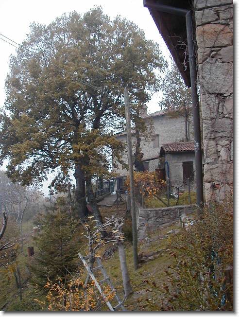 Clicca per scorrere le foto originali ingrandite
